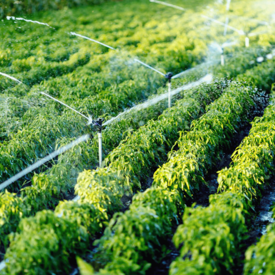 Cintropur industrifilter – kraftfull vattenrening för industri och storförbrukare