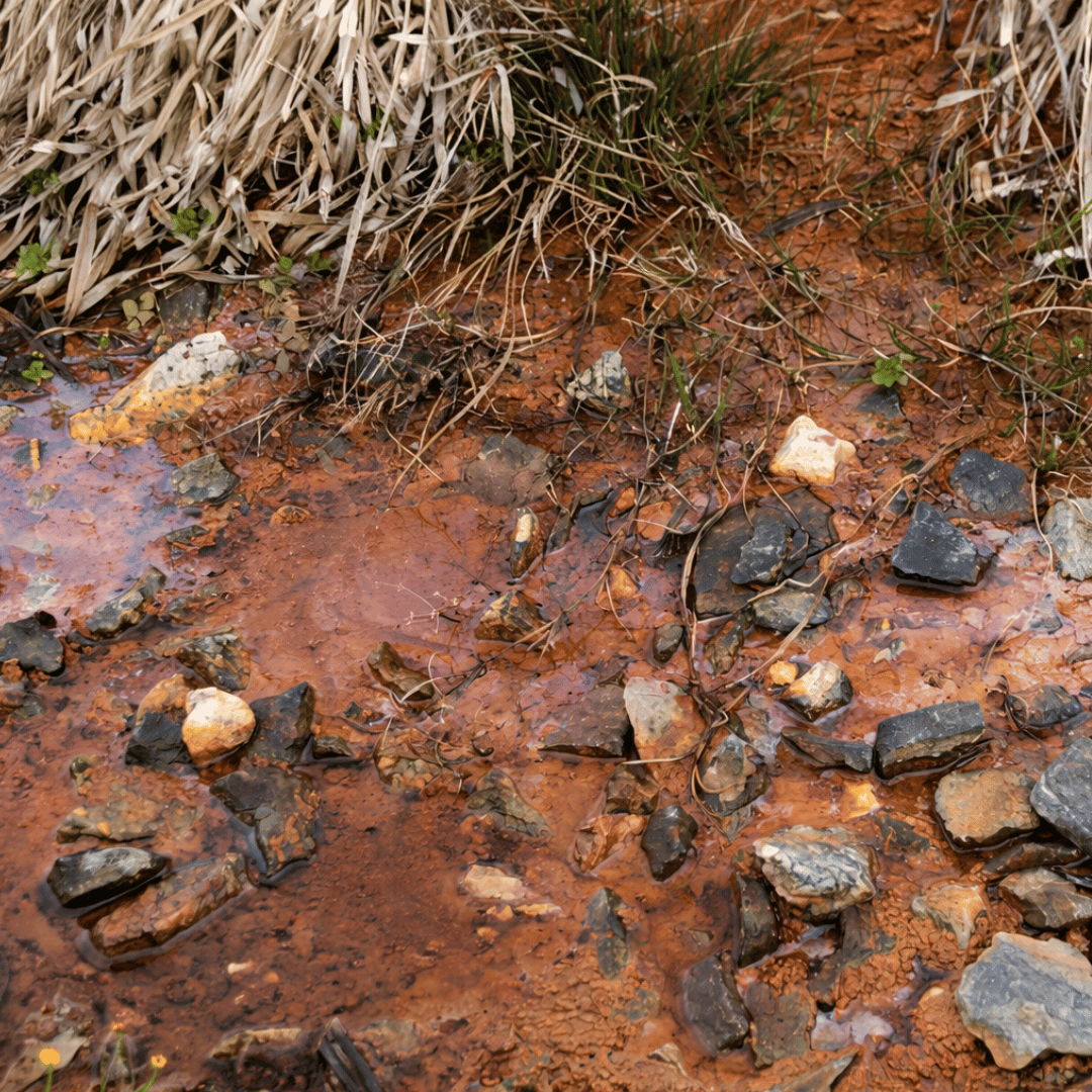 Missfärgat vatten från brunn - orsaker och hur du löser problemet