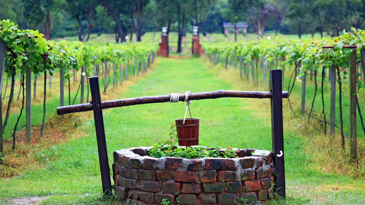 Så Rengör Du Din Brunn – En Steg-för-Steg Guide från Filtreratvatten.nu