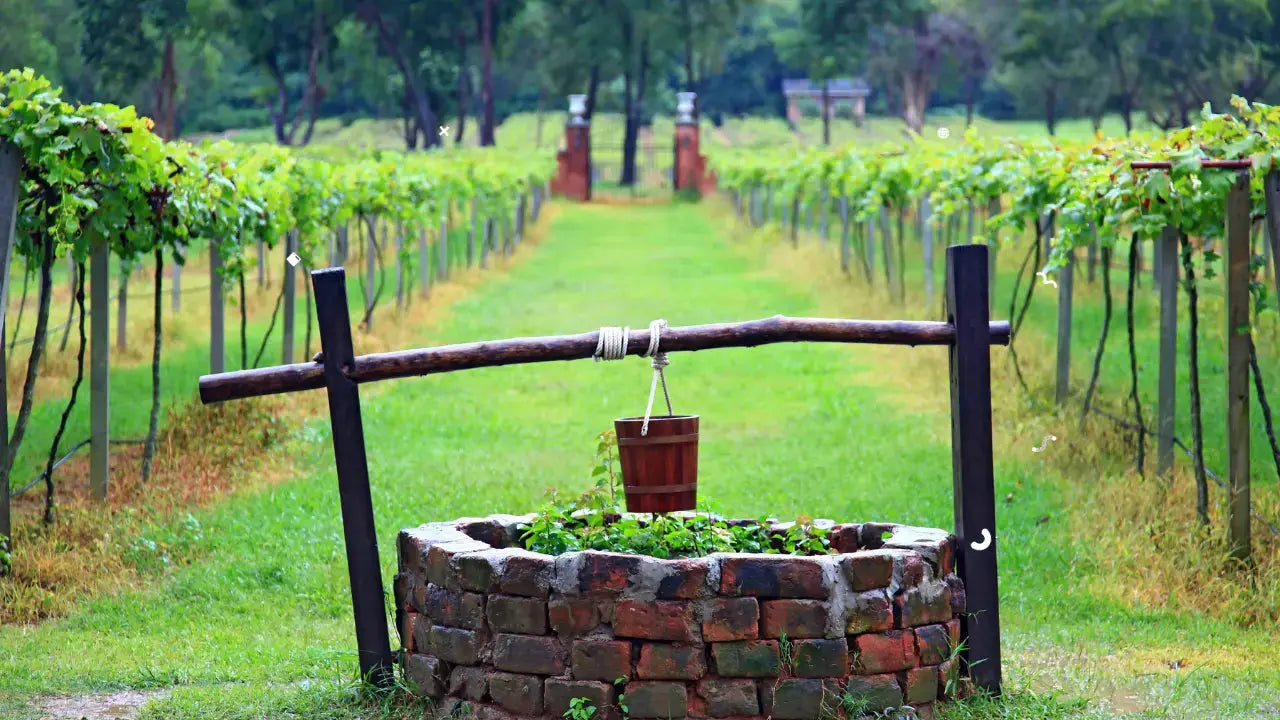 Så Rengör Du Din Brunn – En Steg-för-Steg Guide från Filtreratvatten.nu