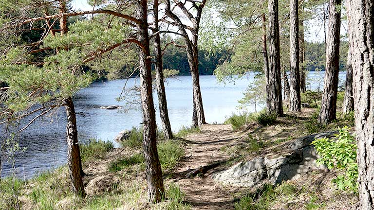 Vattenfilter egen brunn Ale