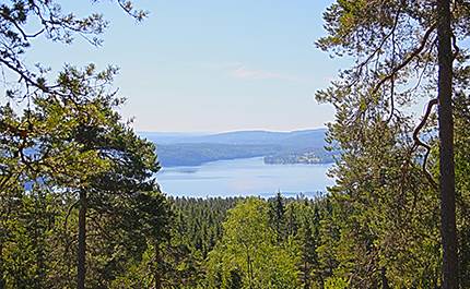 Vattenfilter egen brunn Eda, så undviker du magsjukan