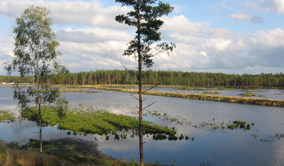 Vattenfilter egen brunn Gislaved, så undviker du magsjukan