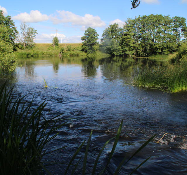 Vattenfilter egen brunn Grästorp