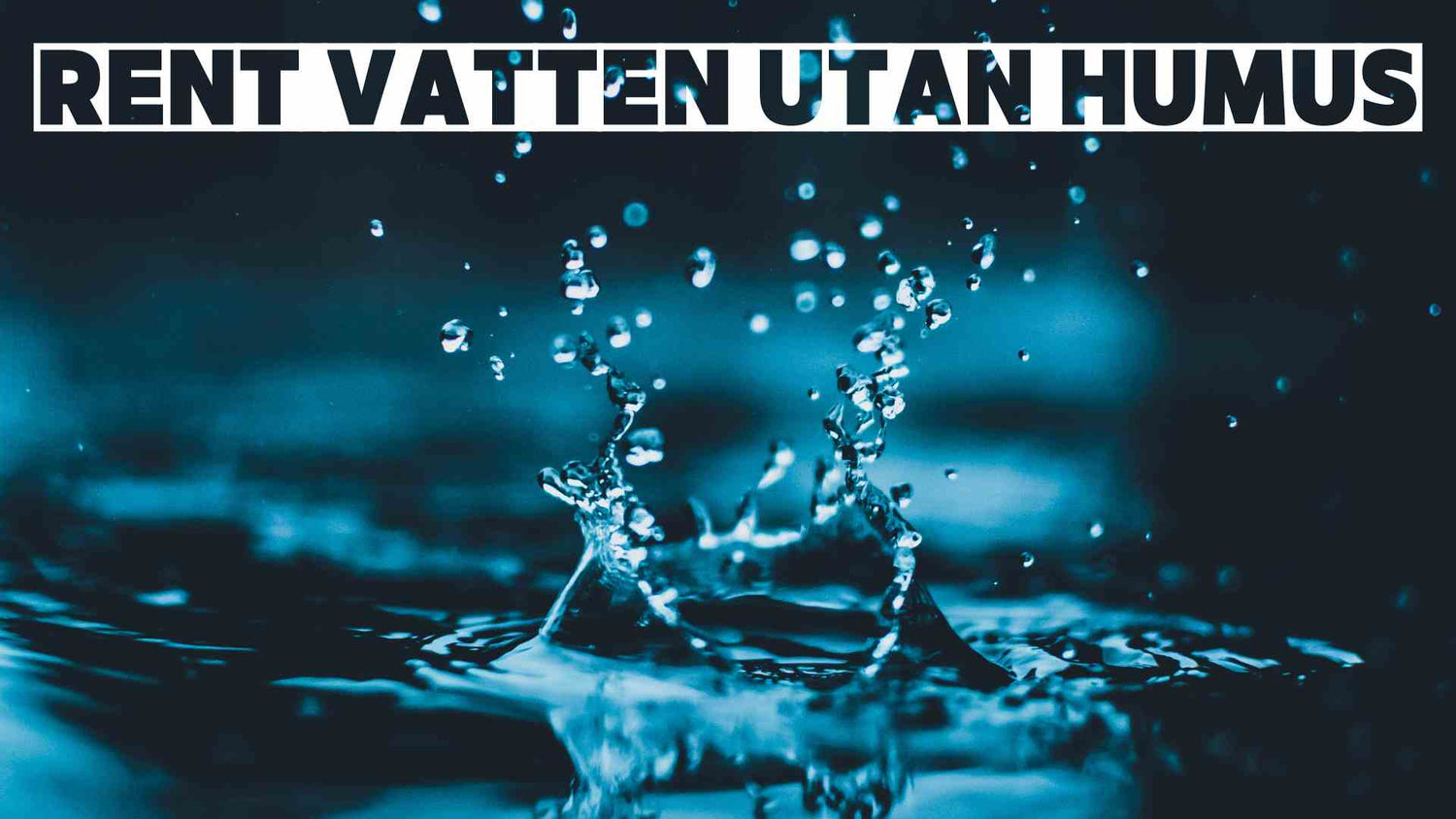 Vilket Vattenfilter Tar Bäst Bort Humus?