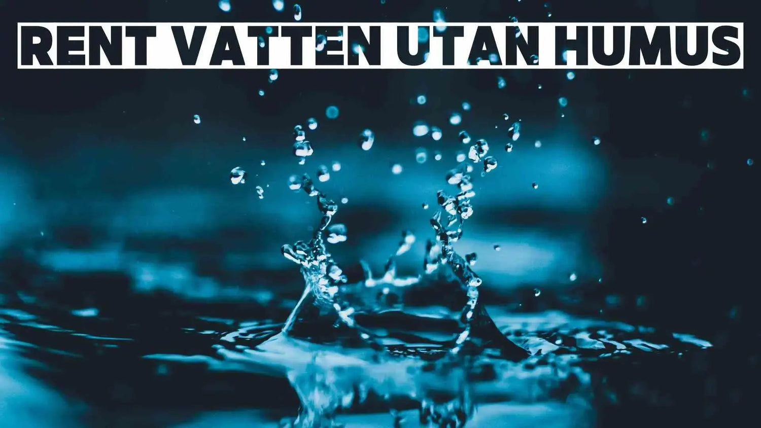 Vilket Vattenfilter Tar Bäst Bort Humus?